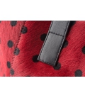 LADYBIRD
